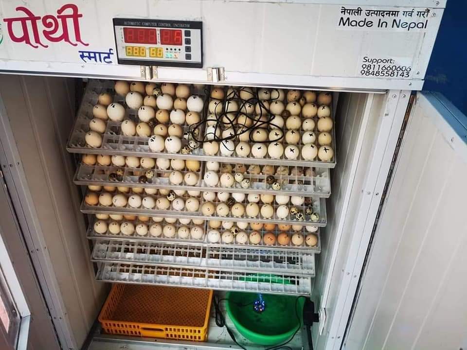 Pothi Incubator