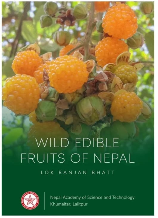 Wild edible fruits of Nepal