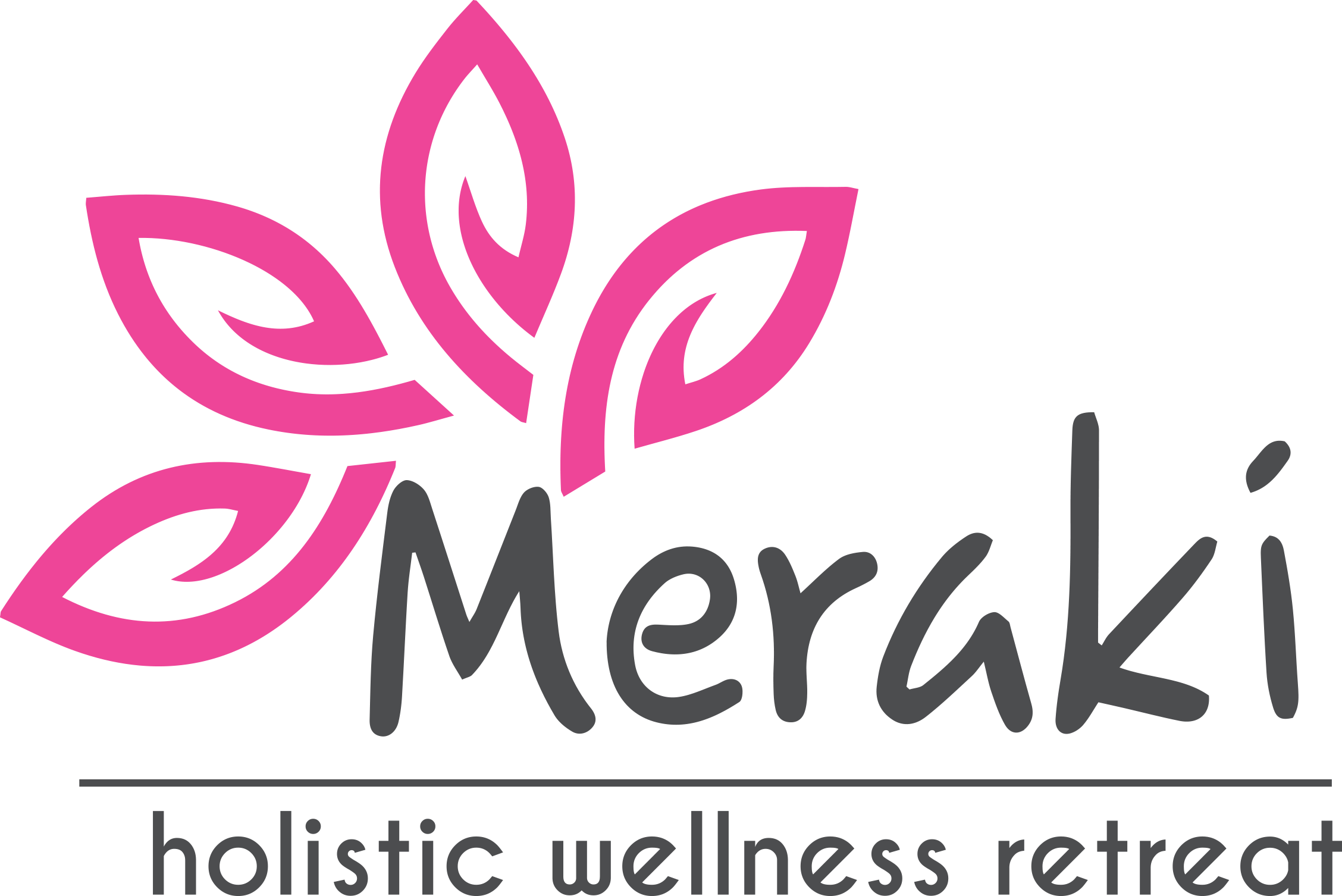 Meraki logo